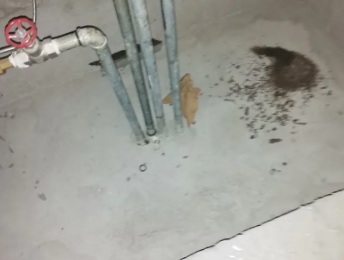 水磨沟卫生间测漏水价格明细